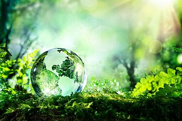 Glass globe lies on the floor against a green background.